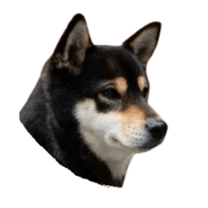 cobeznero