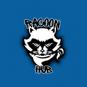 Racoon_Hub
