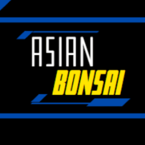 AsianBonsaiii