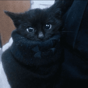 darkk