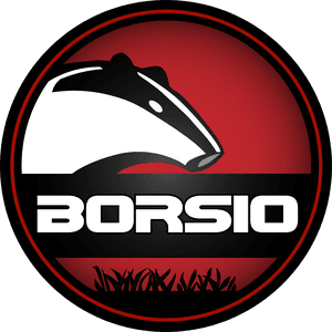 Borsio