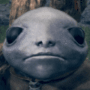 BetozGames