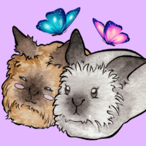 ButterflysBunnies