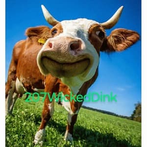 207wickeddink