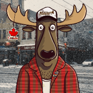 CanadianMooseLive