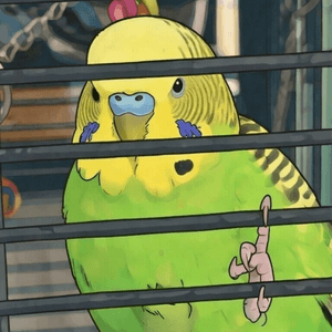 birdoftabor