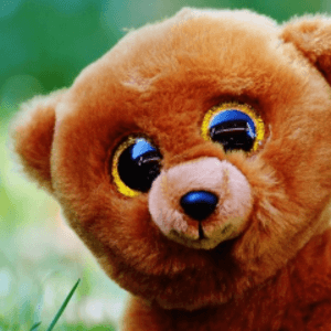 7777BEAR7777