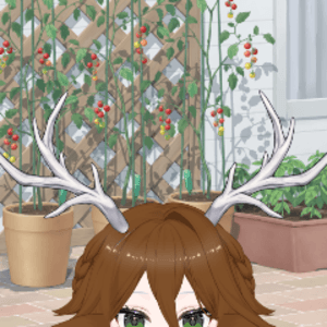 amaria_vt