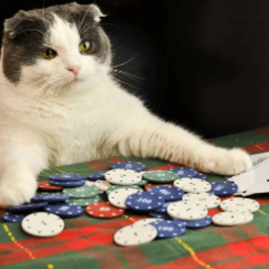 casinoabi1