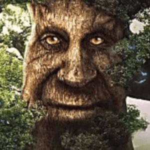 Capabunga