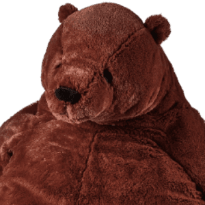 2DTeddy