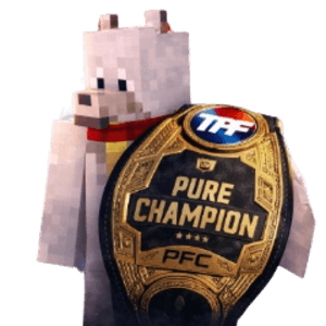 CrazyJeff2016