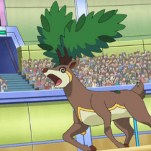 deer