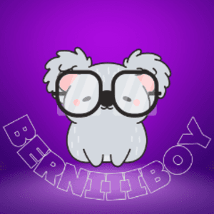 berniiiboy