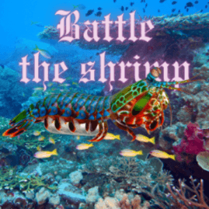 battletheshrimp