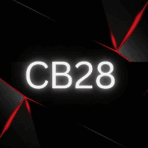 chrisbreezy28