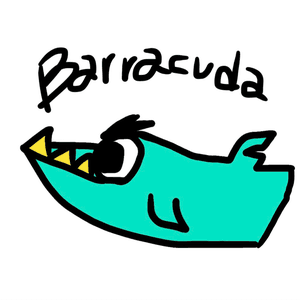 Barracuda1991