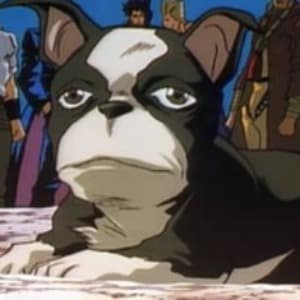 Redshell playing Just Chatting - Live Casino Stream