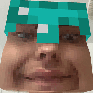 bapplegoose