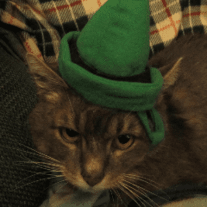 deadmousefetish
