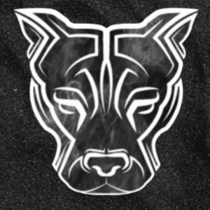 BigDog_Q