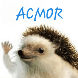 Acmor1958