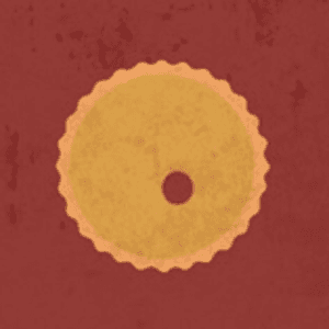 American_Pie363