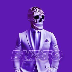 BUDT0