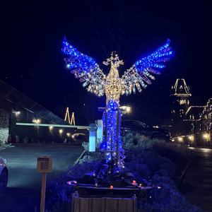 der_Phoenix93