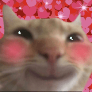chellyconcarne_