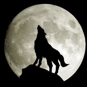 Bodywolf