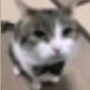 crixk1ng