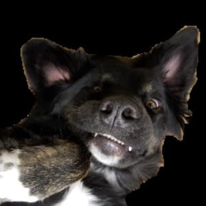 bleepbloopblorp64