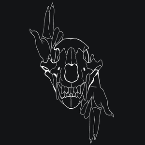 Bear_The_Witch