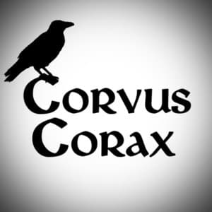 CorvusCorax_030