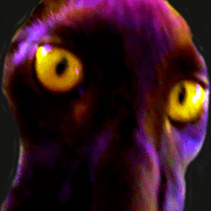 brlkhh1