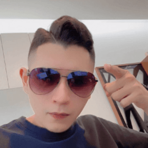 果不其然果然翁
