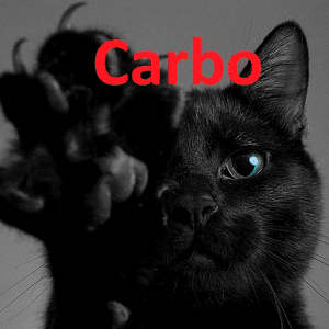 CarboTheCat99