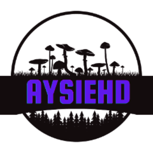 aysiehd