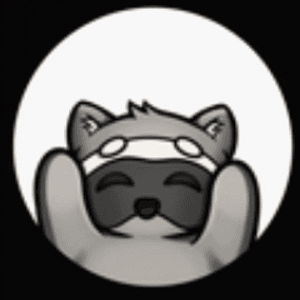 AHeftyRaccoon