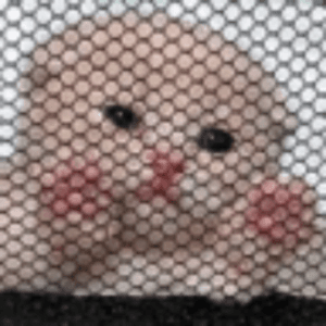 BadassKetchup