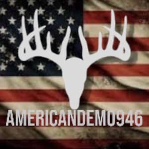 americandemo946