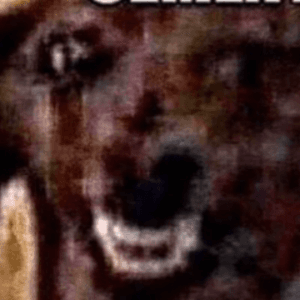 conk_reet