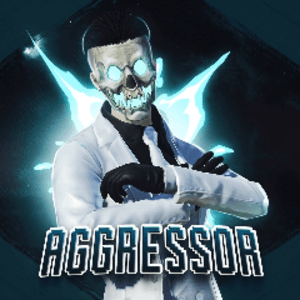 aggreesor