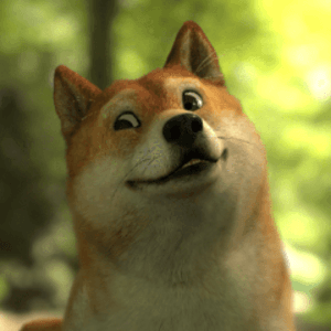 DoggieStreamerLV Avatar