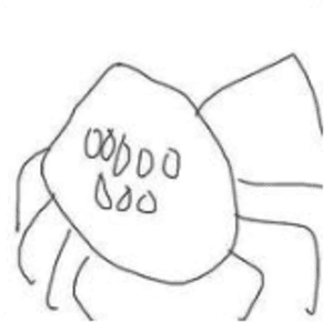 兕蜘蛛
