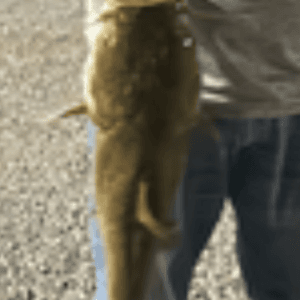 120fps_kaleb