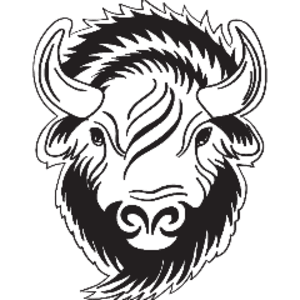 bison_blanc