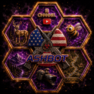 AshsBChannel