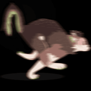 BuschwolfTV